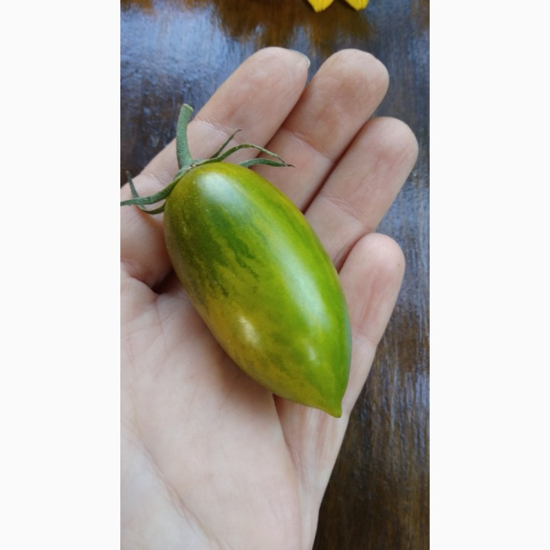 Фото 20. Продам семена коллекционных томатов, личная коллекция, сезон 2021-2022