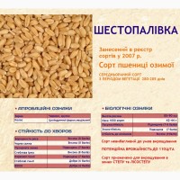 Семена зерновых меш.50кг - привозим