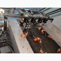 Новый конвейер Holaras Sormac, Fisher чистка некалиброванного лука