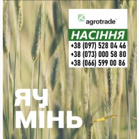 Семена ярового Ячменя от компании Agrotrade