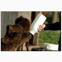 Заменитель цельного молока Dairy Calf с 30 дня (упаковка 25 кг)