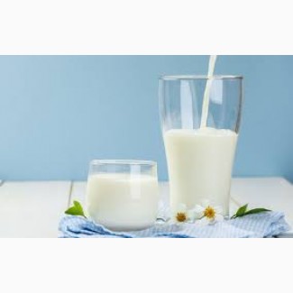 Реализация молока оптом