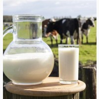 Пропонуємо коров#039;яче молоко оптом