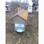 Продам вулики з бджолиними сім#039;ями.