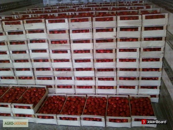 Фото 4. Шпоновые ящики для винограда, черешни, персика, сливы, абрикоса в Крыму