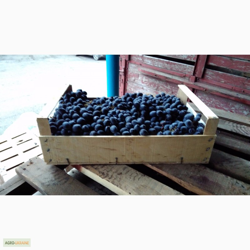 Фото 6. Шпоновые ящики для винограда, черешни, персика, сливы, абрикоса в Крыму