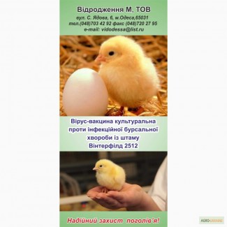 Вакцина против болезни Гамборо птиц из штамма Винтерфилд2512