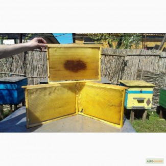 Продам суш пчелиную самовывоз