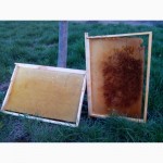 Продам суш пчелиную самовывоз