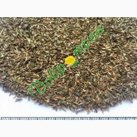 Валеріани насіння (лат. Valeriana officinalis seed)