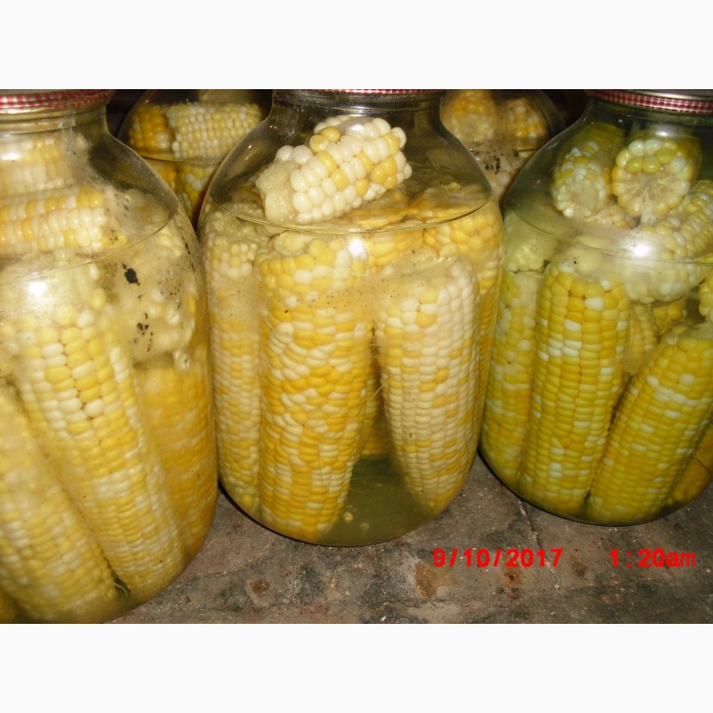 Фото 7. Продам насіння цукрової кукурудзи