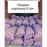 Продажа картошку