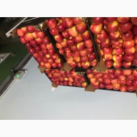Продам яблука різних сортів