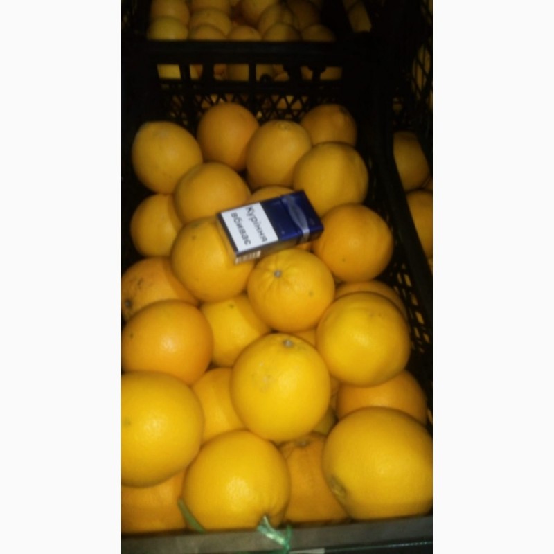 Продам Апельсин Турция, товар в Одессе, рынок Орбита