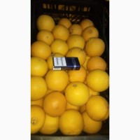 Продам Апельсин Турция, товар в Одессе, рынок Орбита