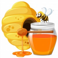Продам мед подсолнуха 2т