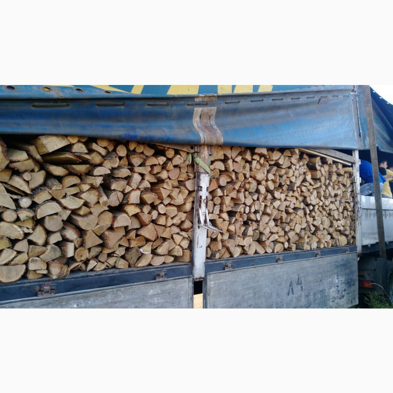 Фото 5. Дрова с доставкой Борисполь Киеву и Киевской области Плотно уложены дрова