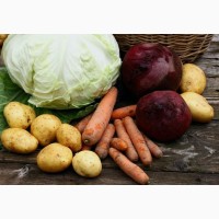 Продам овощи товарные борщевого набор с хранилища
