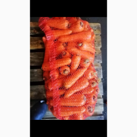 Продам мытую морковь сорт Болевар