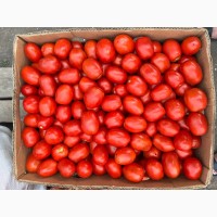 Продам помидоры сливка 3402