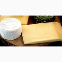 Купити оптом сир та твердий сир коров#039;ячий, овечий та козячий