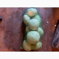 Продам капусту малими обʼємами сорт агресор