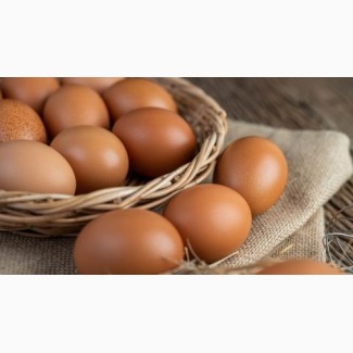 Продам курячі домашні яйця