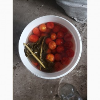 Продам квашений помідор