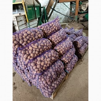 Продам картошку второго сорта, опт от 10 тон