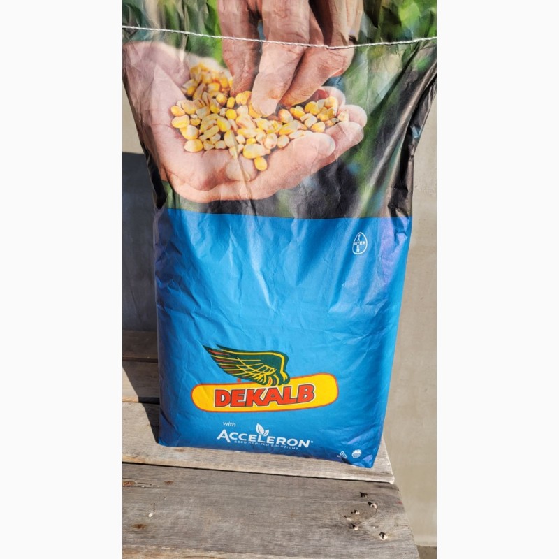Фото 3. Продам насіння кукурудзи Монсанто ДКС 5007- є сертифікат якості на насіння