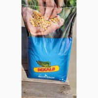 Продам насіння кукурудзи Монсанто ДКС 5007- є сертифікат якості на насіння