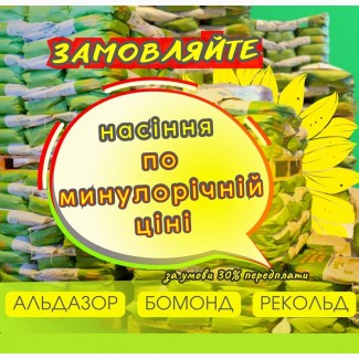 Насіння соняшника Бомонд, під Гранстар, Екстра, урожай - 2024