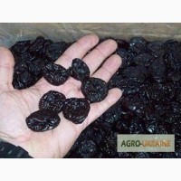 Прямые поставки чернослива из Аргентины