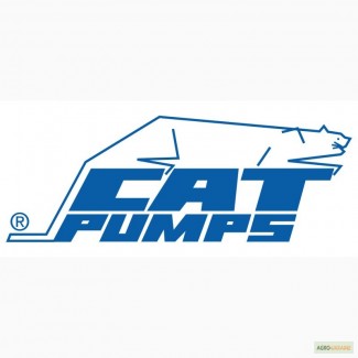 Ремонт гидронасоса Cat Pumps, Ремонт гидромотора Cat Pumps
