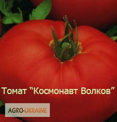 Фото 12. Семена овощей: Томаты. Интересные сорта