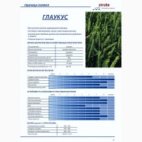 Посівна Озима пшениця ГЛАУКУС (Штрубе, Німеччина) - для інтенсивної технології вирощування