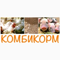 Комбікорм від українського виробника