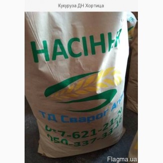 Гибрид кукурузы ДН Хортица (ФАО 240)