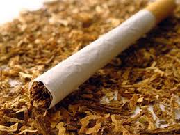 Фото 3. Продам курительный фабричный табак-Берил Вирджиния Махорка!без пыли и мусора