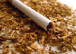 Фото 4. Продам курительный фабричный табак-Берил Вирджиния Махорка!без пыли и мусора