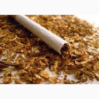 Продам курительный фабричный табак-Берил Вирджиния Махорка!без пыли и мусора
