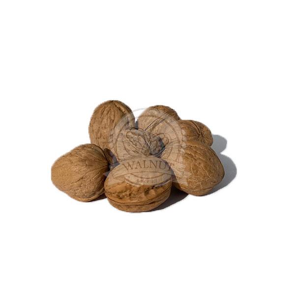 Фото 2. Экспорт и продажа по Украине грецкого ореха. Export and sale of walnuts in Ukraine