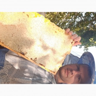 Продам мед разнотравие с подсолнухом