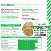 Семена ячменя Галичанин, элита / 1 репродукция от компании Agrotrade