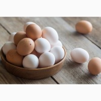 Куриное яйцо ОПТом + доставка по регионам