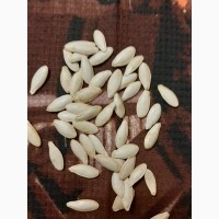 Гарбузове насіння сорту Болгарка( Дамський ніготь)