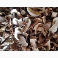 Сушені білі гриби полісся