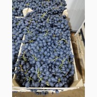 Продам виноград. Молдова