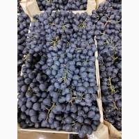 Продам виноград. Молдова