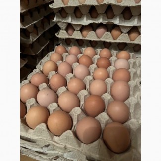 Продам яйце столове куряче (С1, С0) від виробника